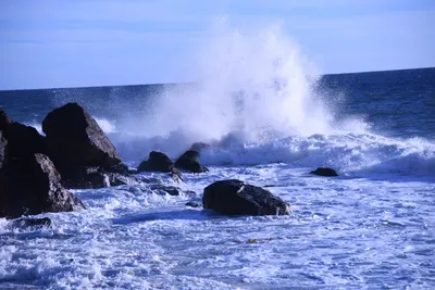 DSC_0600 (Large).JPG